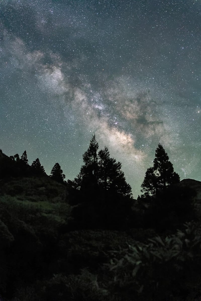 Mindfulness and nature